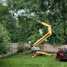 Best Emergency Tree Removal  in Lake Helen, FL